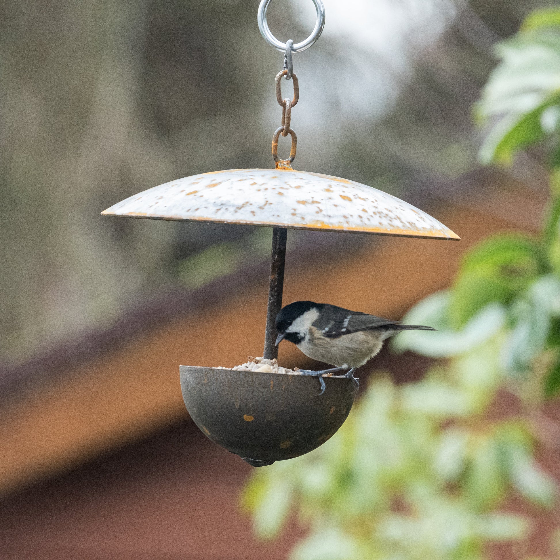 Outdoor Hanging Bird Feeder