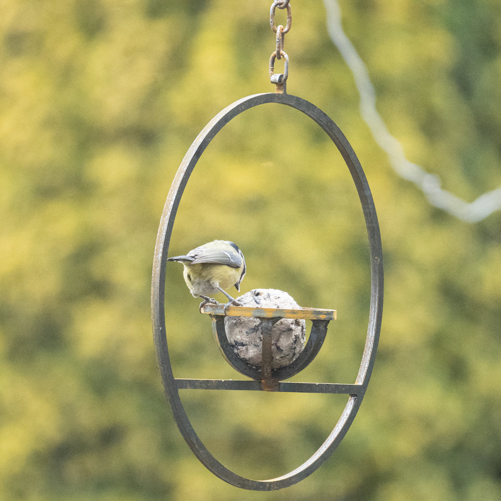 Hanging Fat Ball Feeder