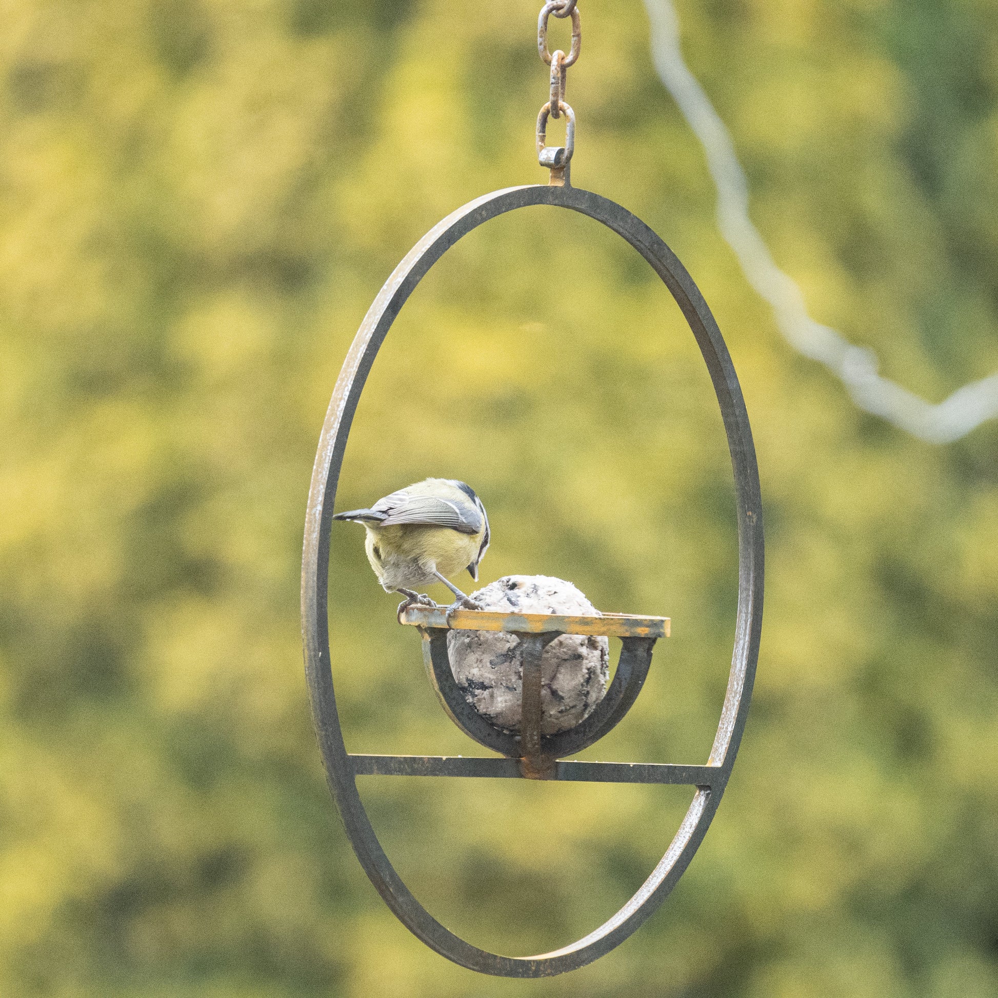 Hanging Fat Ball Feeder