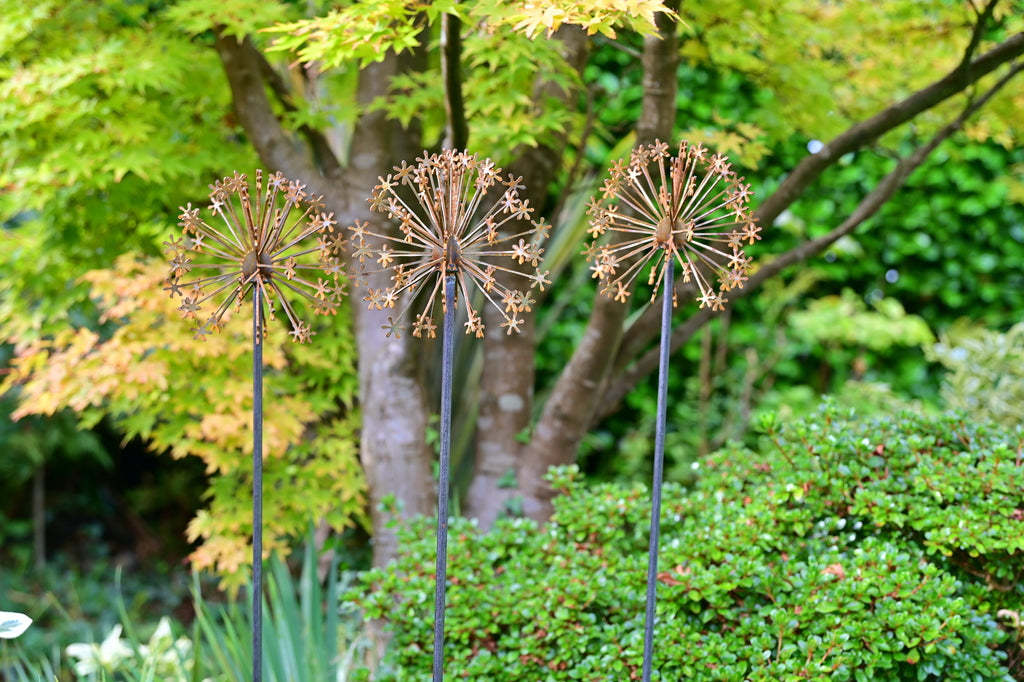 Rusty Metal Allium Flower