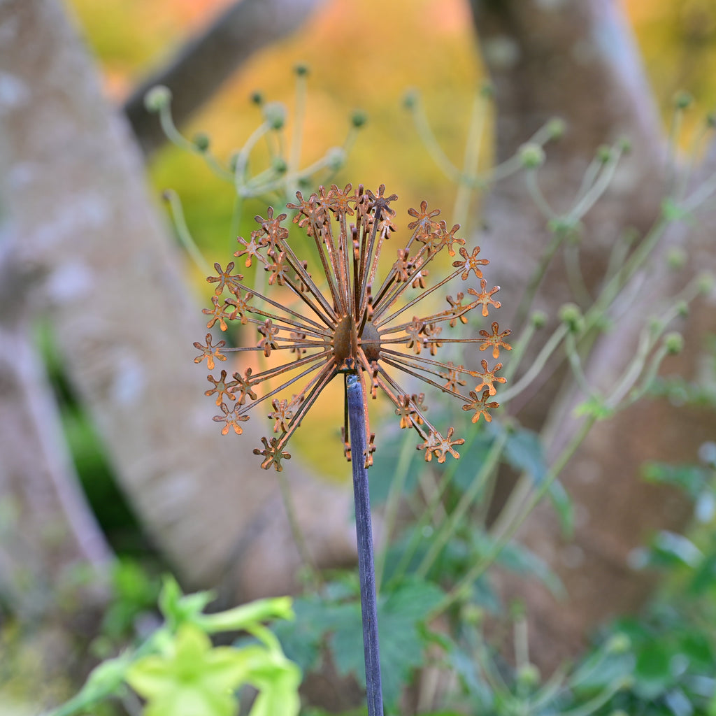 Rusty Metal Allium Flower