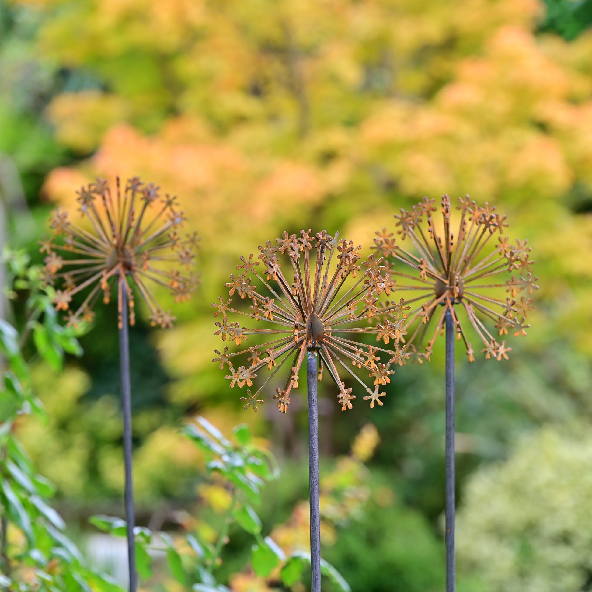 Rusty Metal Allium Flower