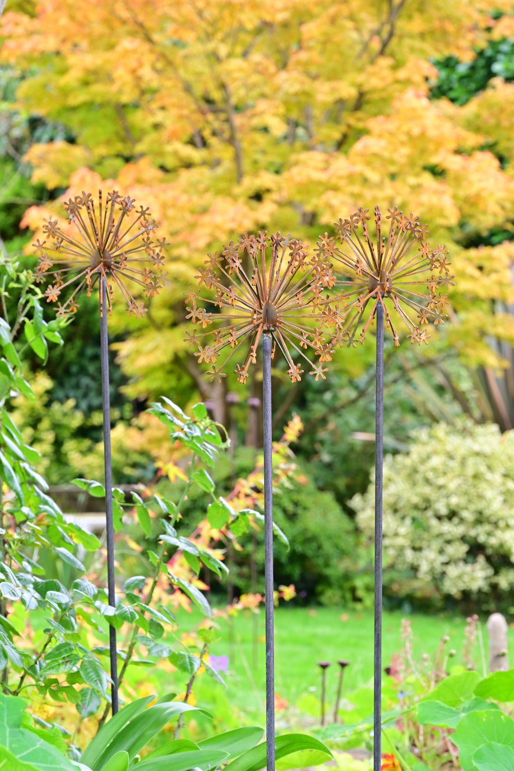 Rusty Metal Allium Flower