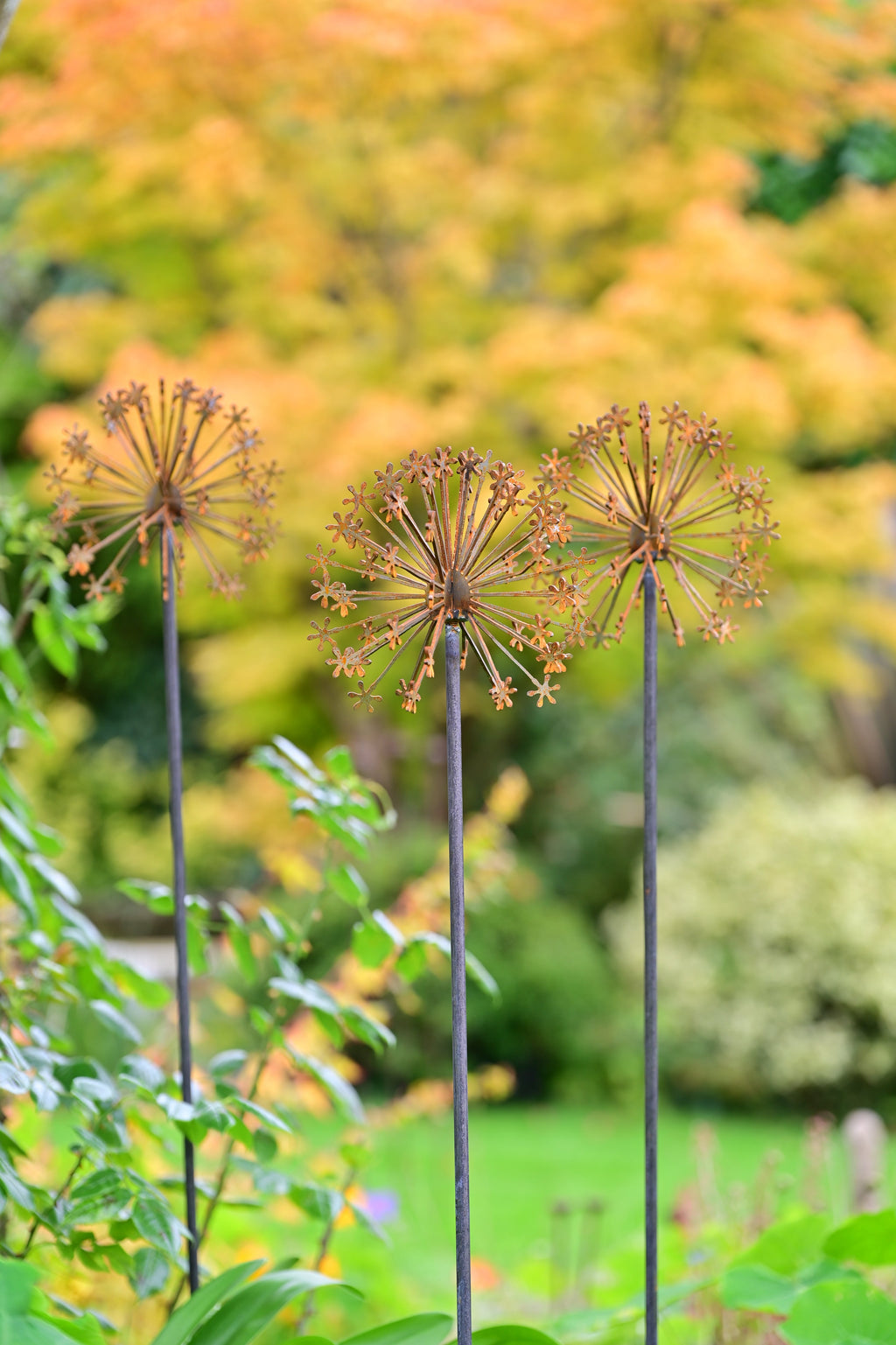 Rusty Metal Allium Flower