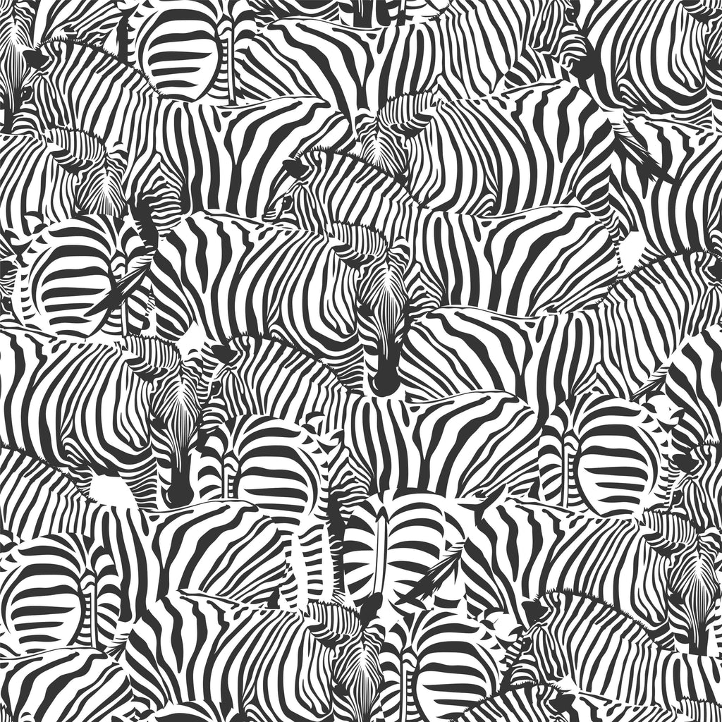 Monochrome Zebra Wallpaper