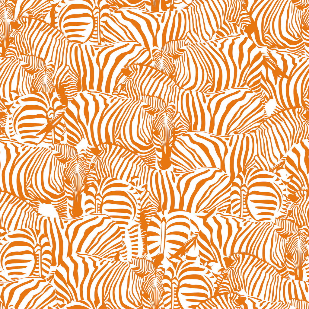 Monochrome Zebra Wallpaper