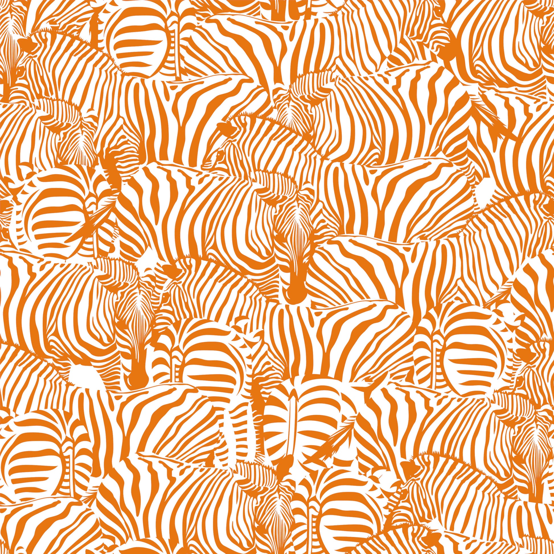 Monochrome Zebra Wallpaper