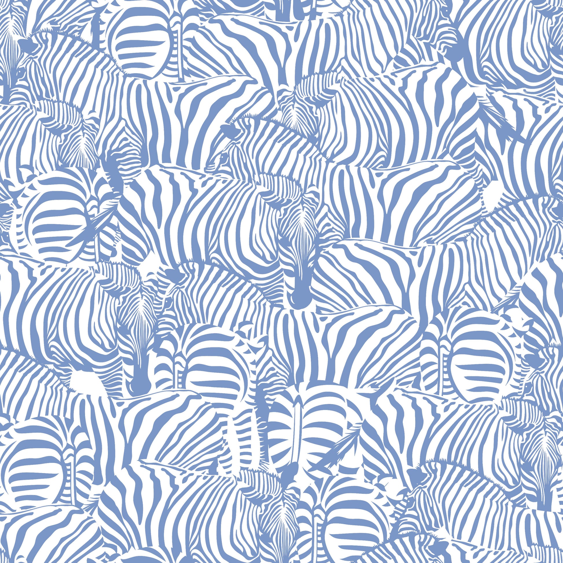 Monochrome Zebra Wallpaper