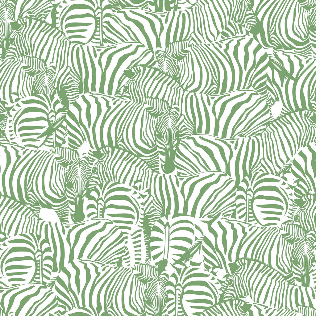 Monochrome Zebra Wallpaper