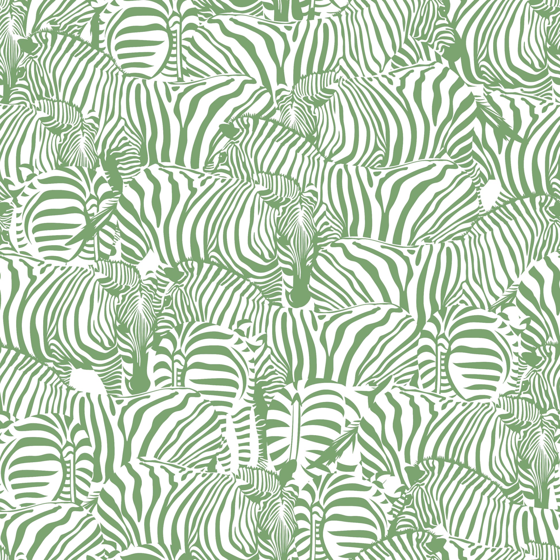 Monochrome Zebra Wallpaper