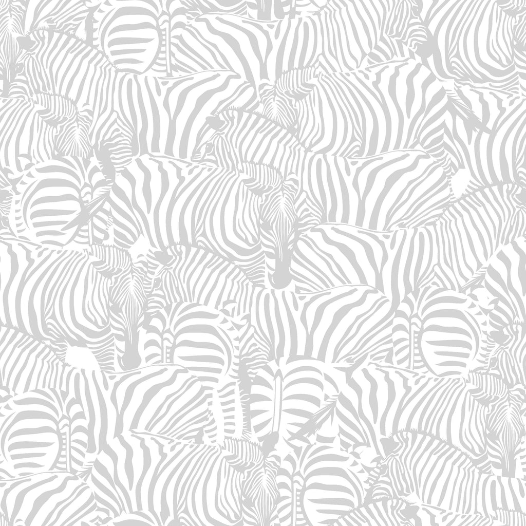 Monochrome Zebra Wallpaper