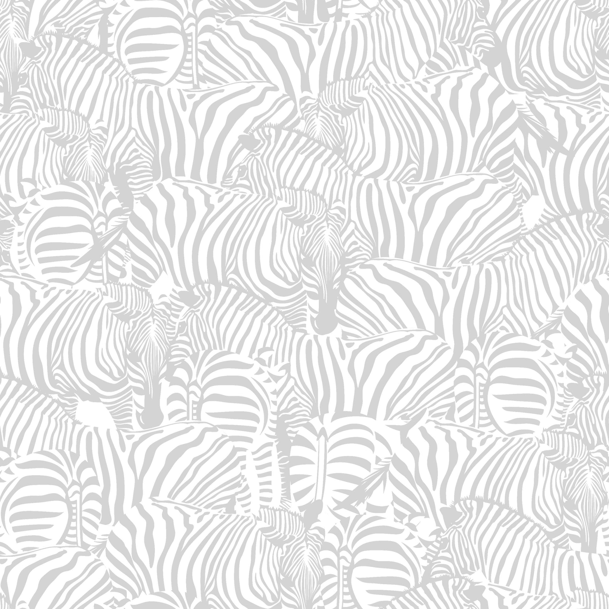 Monochrome Zebra Wallpaper