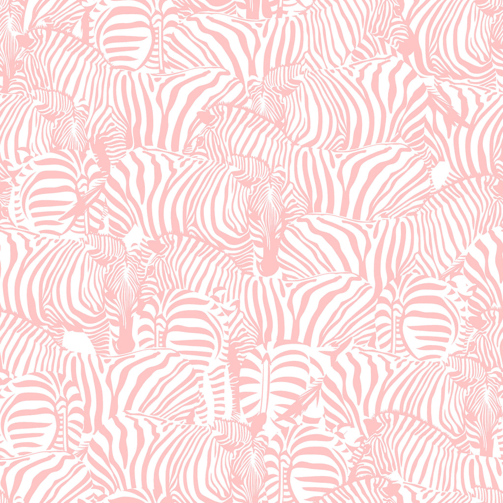 Monochrome Zebra Wallpaper
