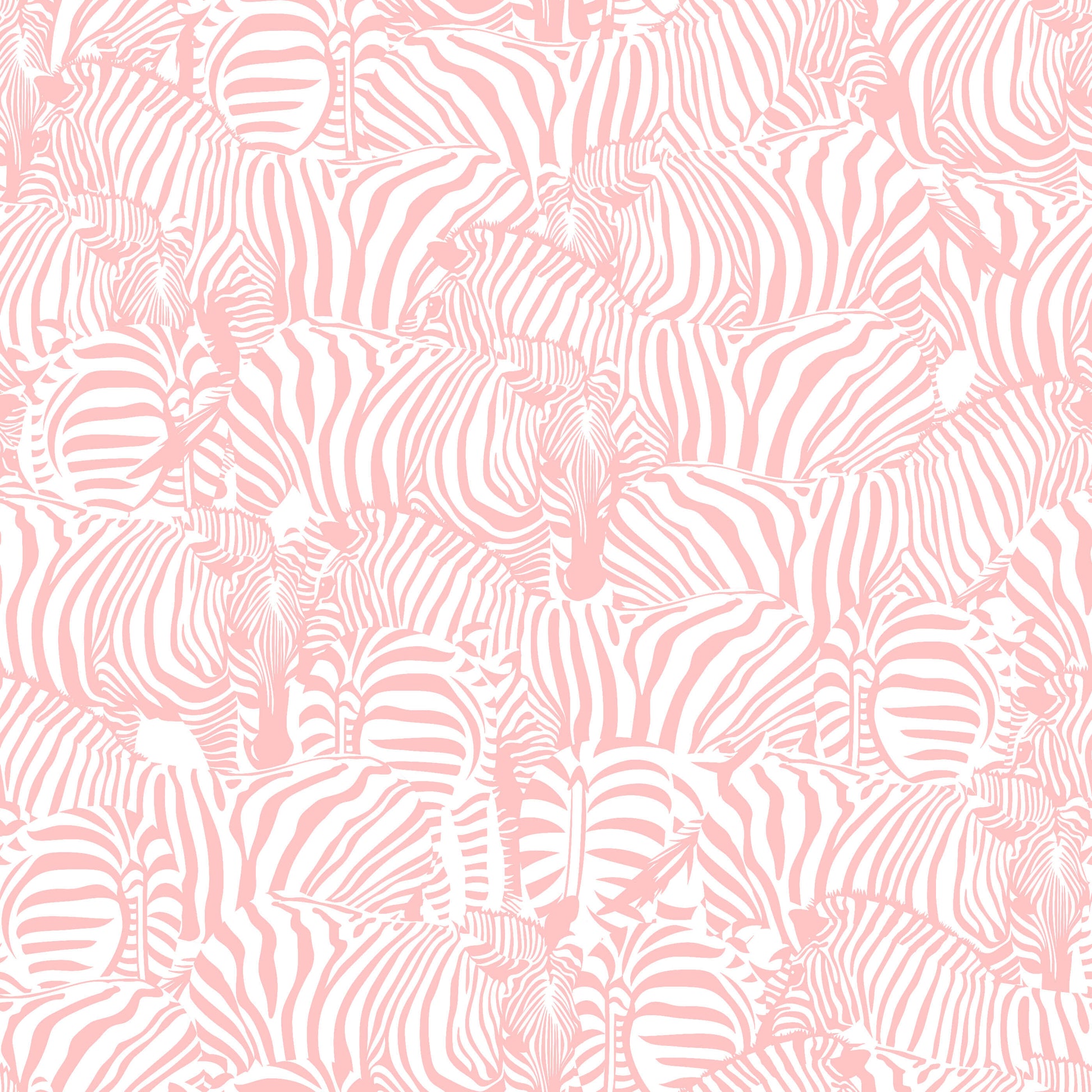 Monochrome Zebra Wallpaper