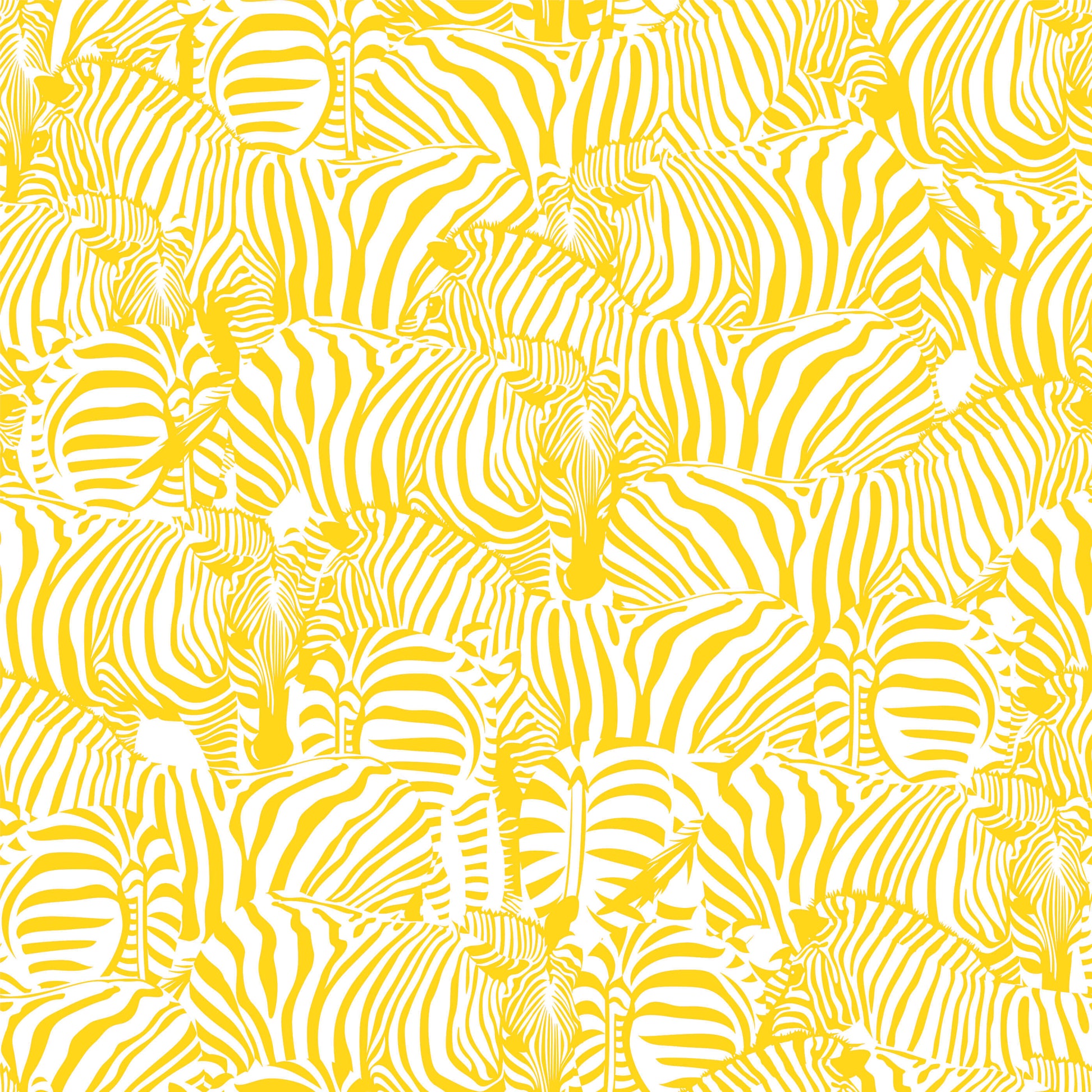 Monochrome Zebra Wallpaper