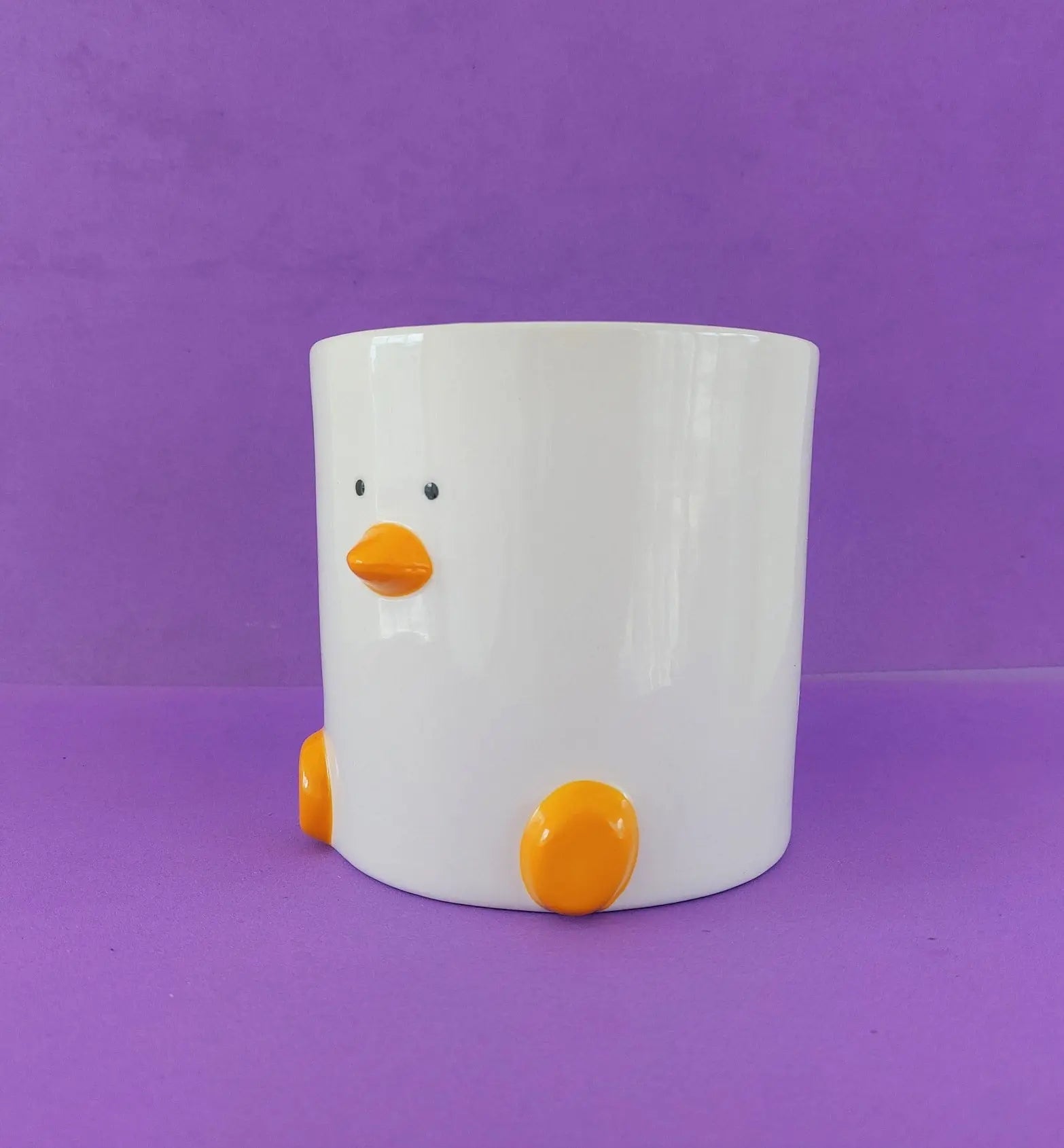 Duck Plant Pot 12cm with Drainage