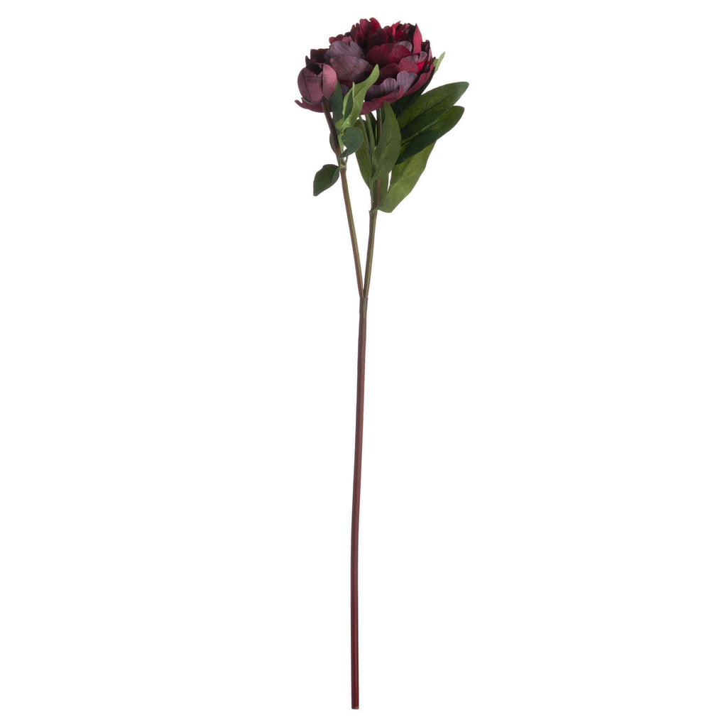 Burgundy faux peony stem with realistic petals and bud, perfect for everlasting floral arrangements. by sostter at brixbailey.com