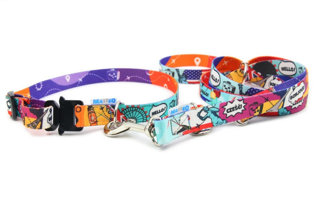 bold close-up of a travel leash with eiffel tower and pyramid print for adventurous pets