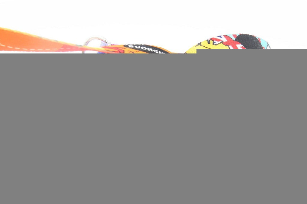 elegant adjustable dog leash with a refined pattern of global landmarks like the eiffel tower