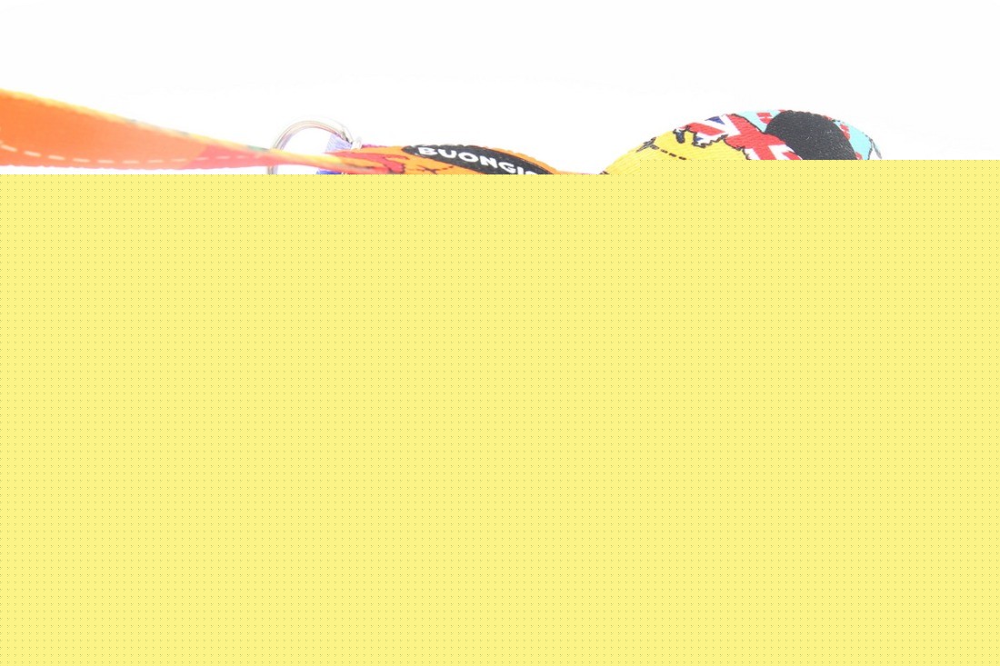 elegant adjustable dog leash with a refined pattern of global landmarks like the eiffel tower