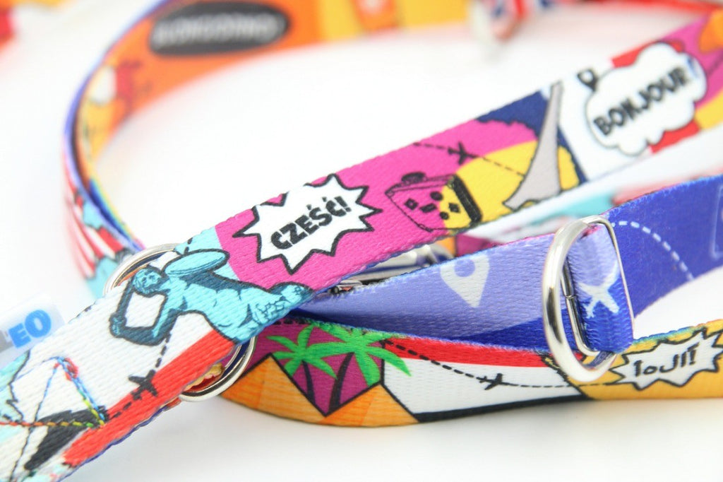 close-up of the adjustable clasp on a travel-themed dog leash with eiffel tower and pyramid print