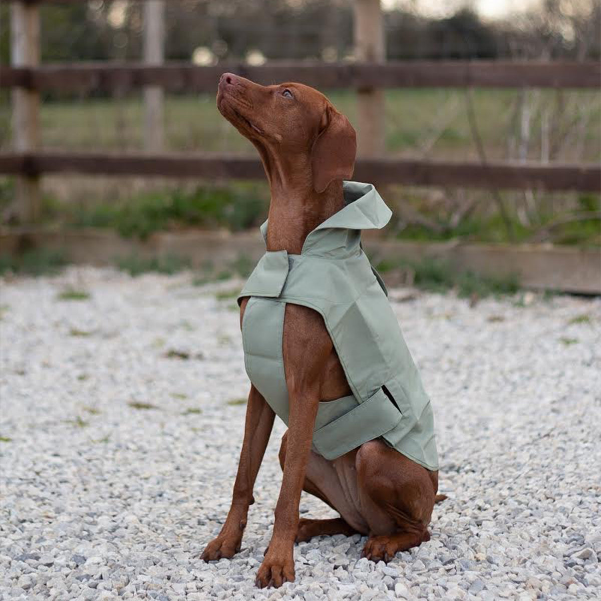 Adjustable Thin Coat in Green