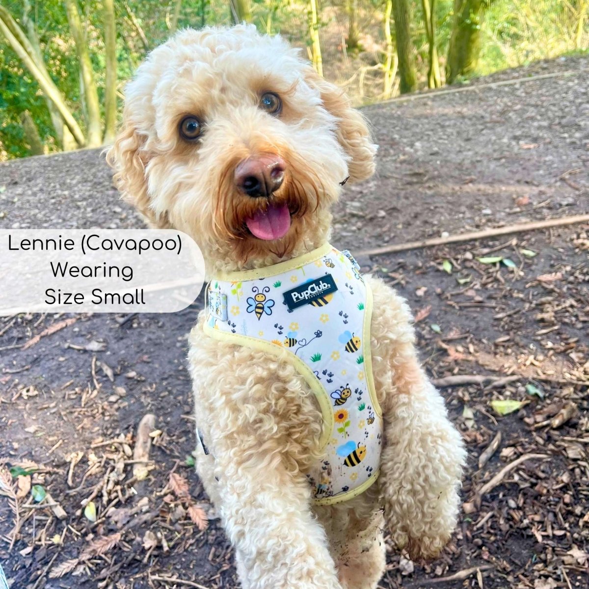 Bee-utiful Summer Adjustable Dog Harness