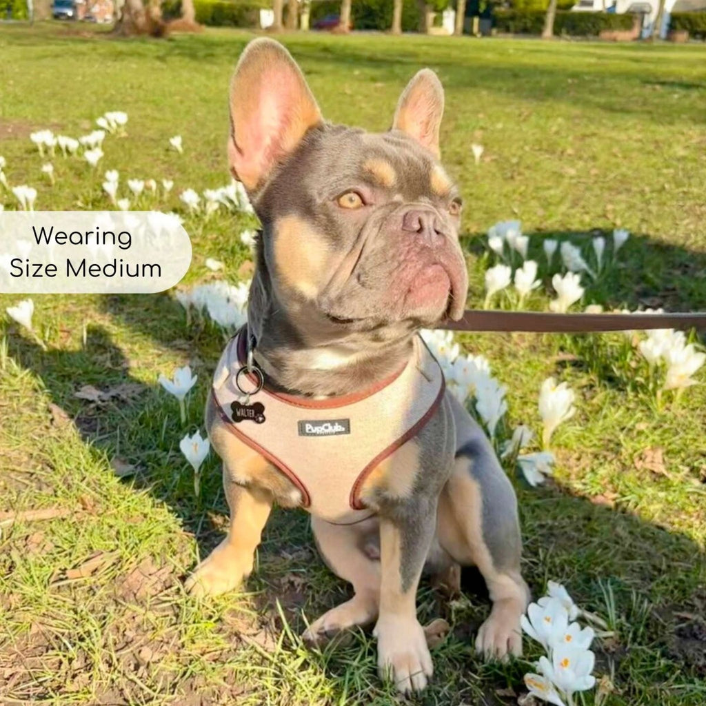 Tweed Adjustable Harness in Brown