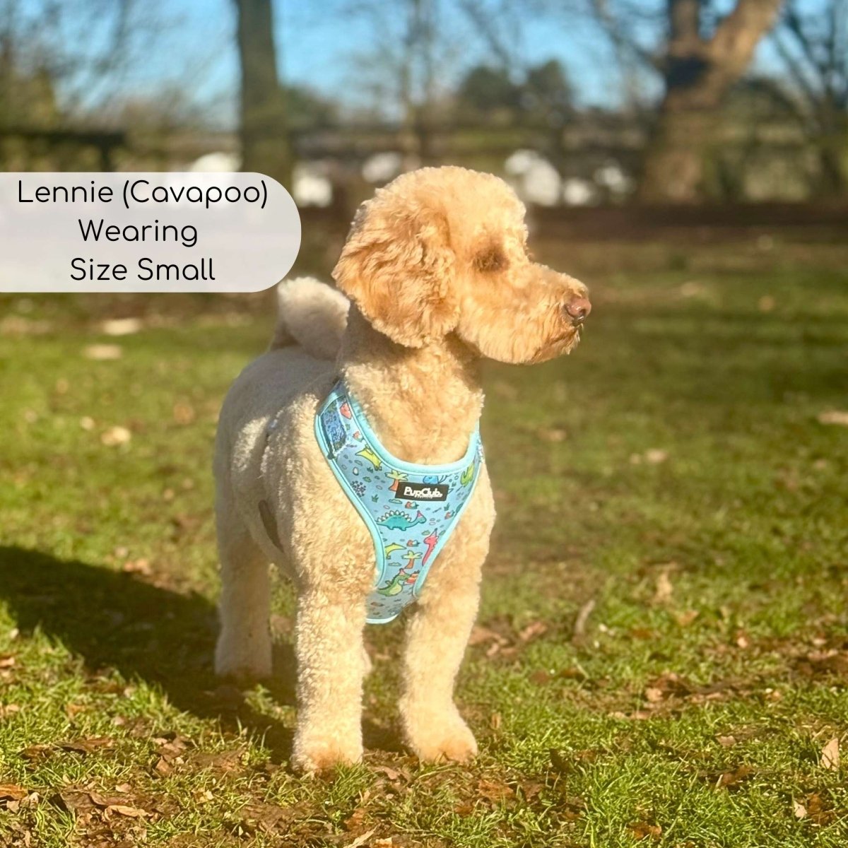 Adjustable Dinosaur Party Dog Harness