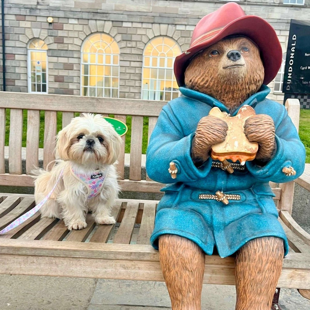 Pretty Petals Adjustable Dog Harness