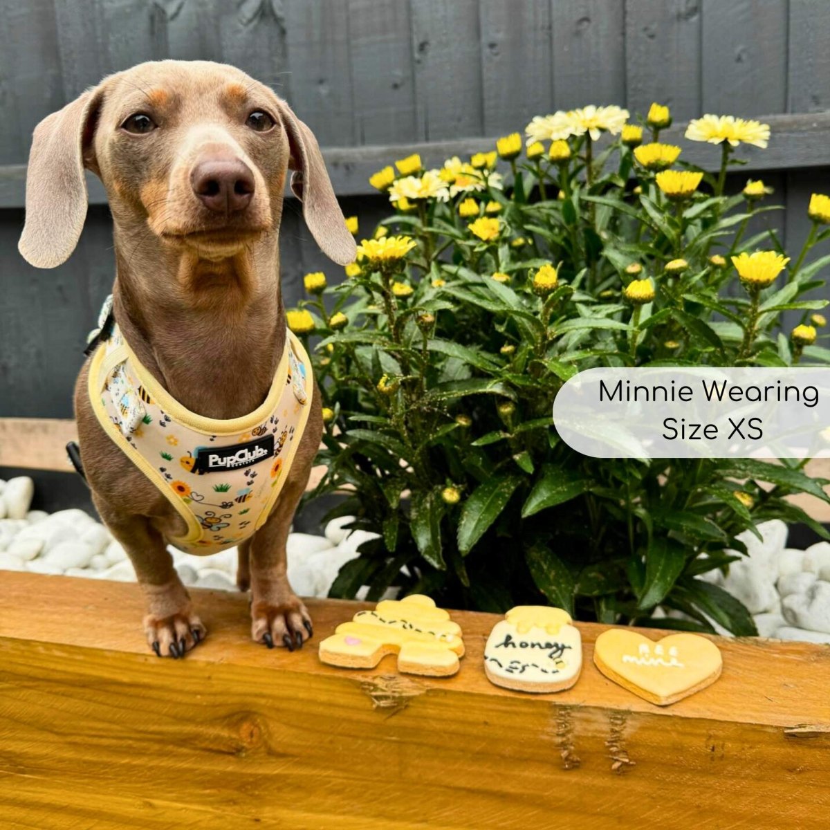 Bee-utiful Summer Adjustable Dog Harness