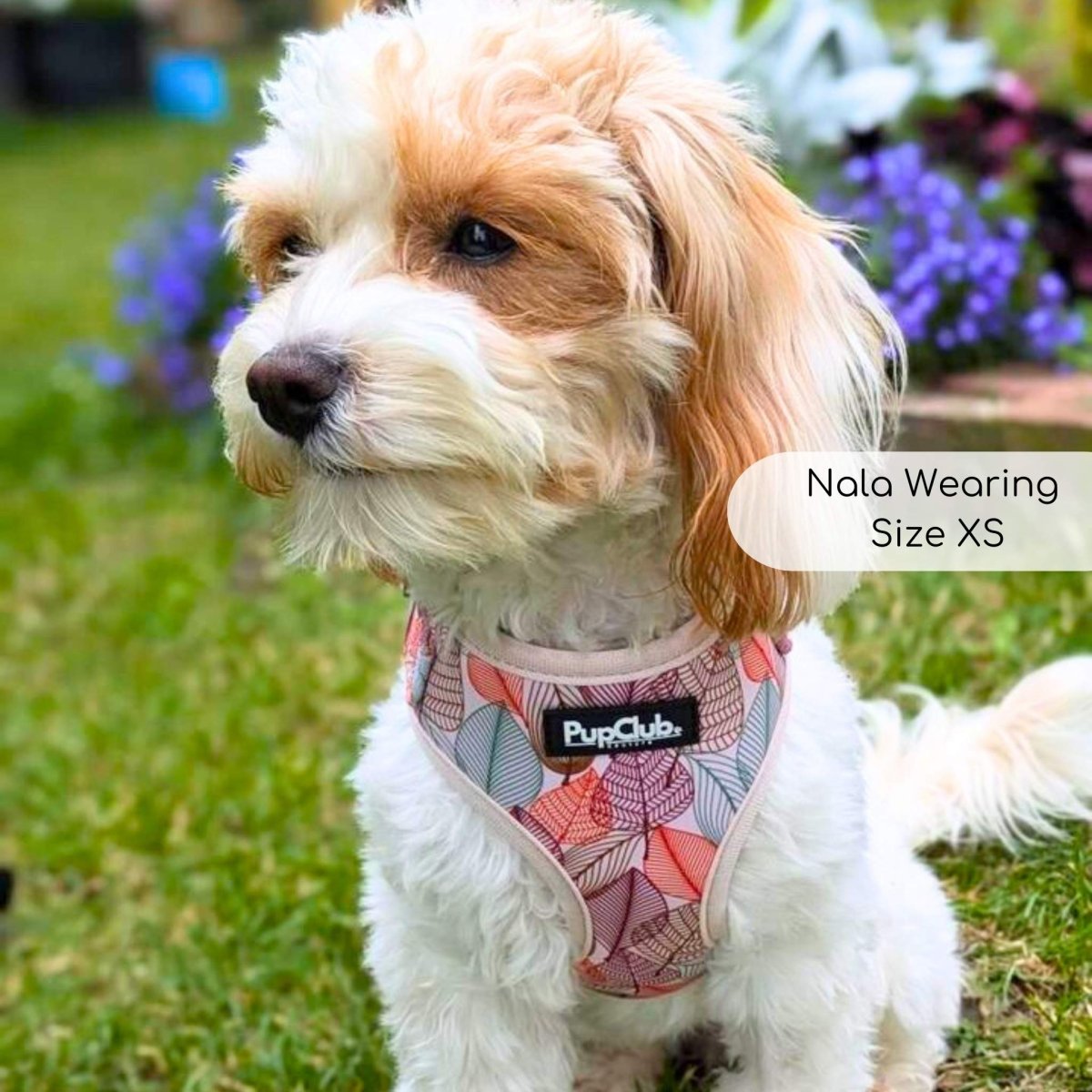 Autumn Breeze Adjustable Dog Harness