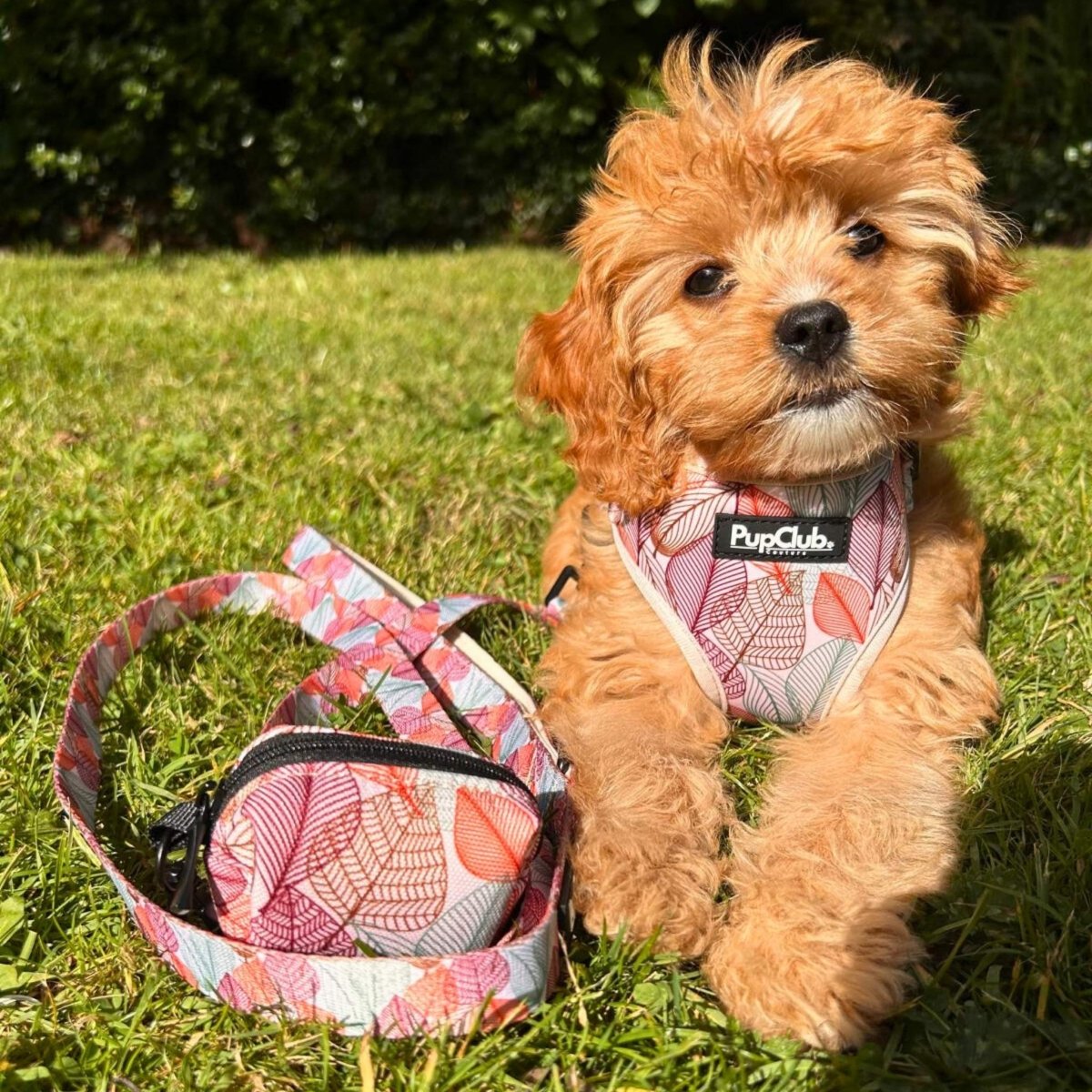 Autumn Breeze Poo Bag Holder