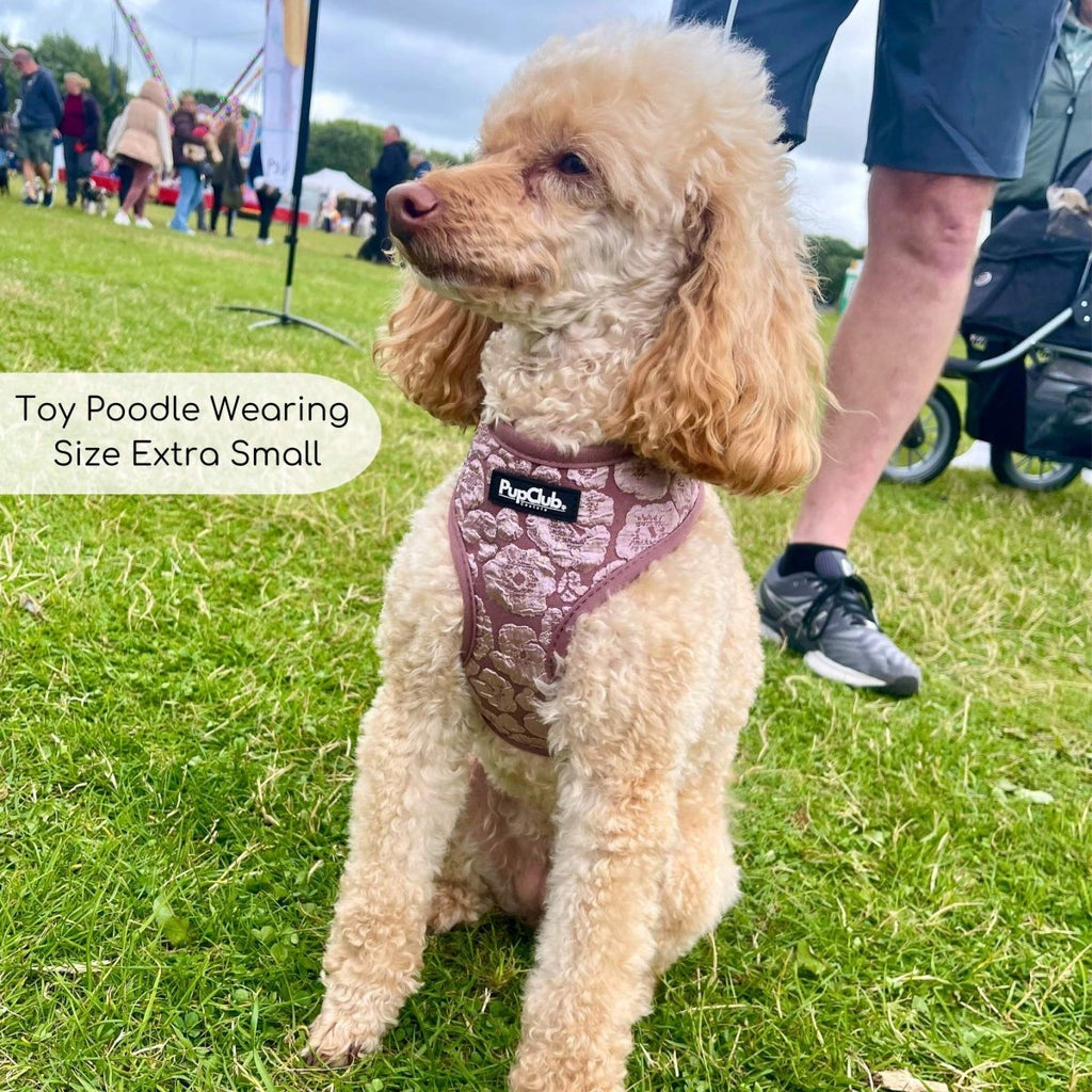 Mocha Petals Adjustable Dog Harness