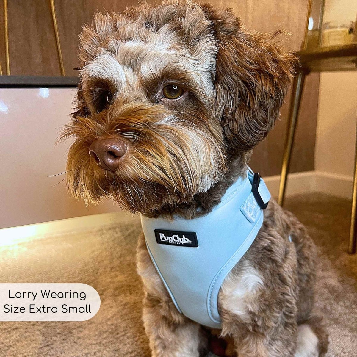 Pastel Blue Adjustable Dog Harness