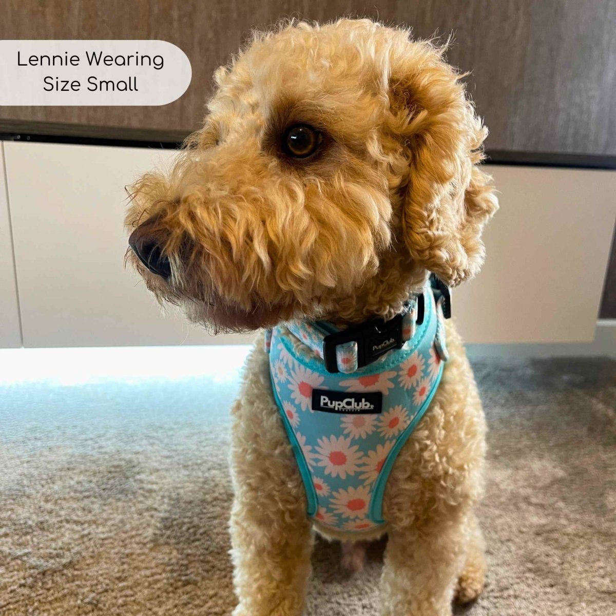 Adjustable Harness in Pastel Daisy