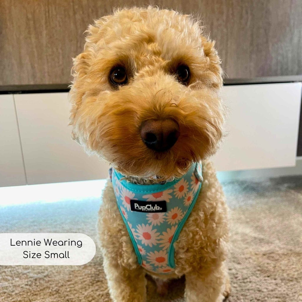 Adjustable Harness in Pastel Daisy