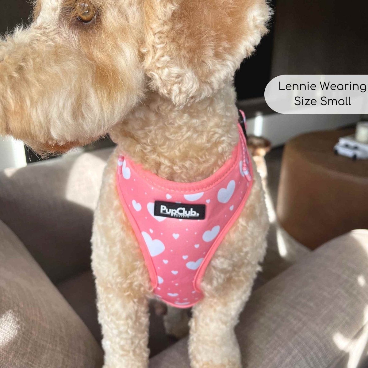 Peachy Hearts Adjustable Dog Harness