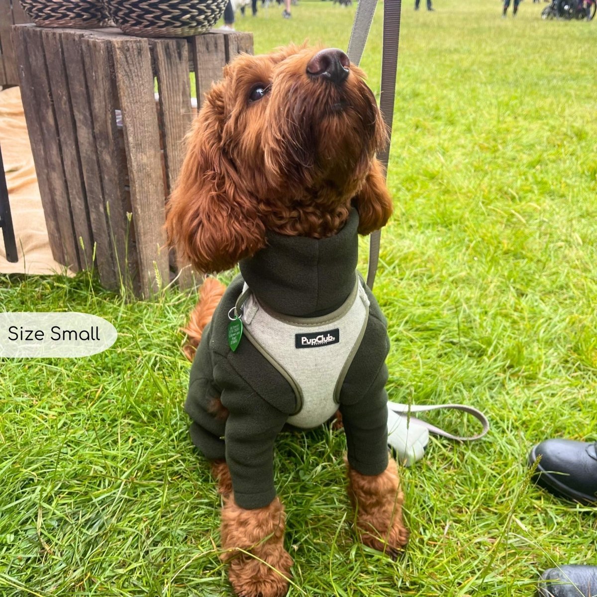 Tweed Adjustable Harness in Sage