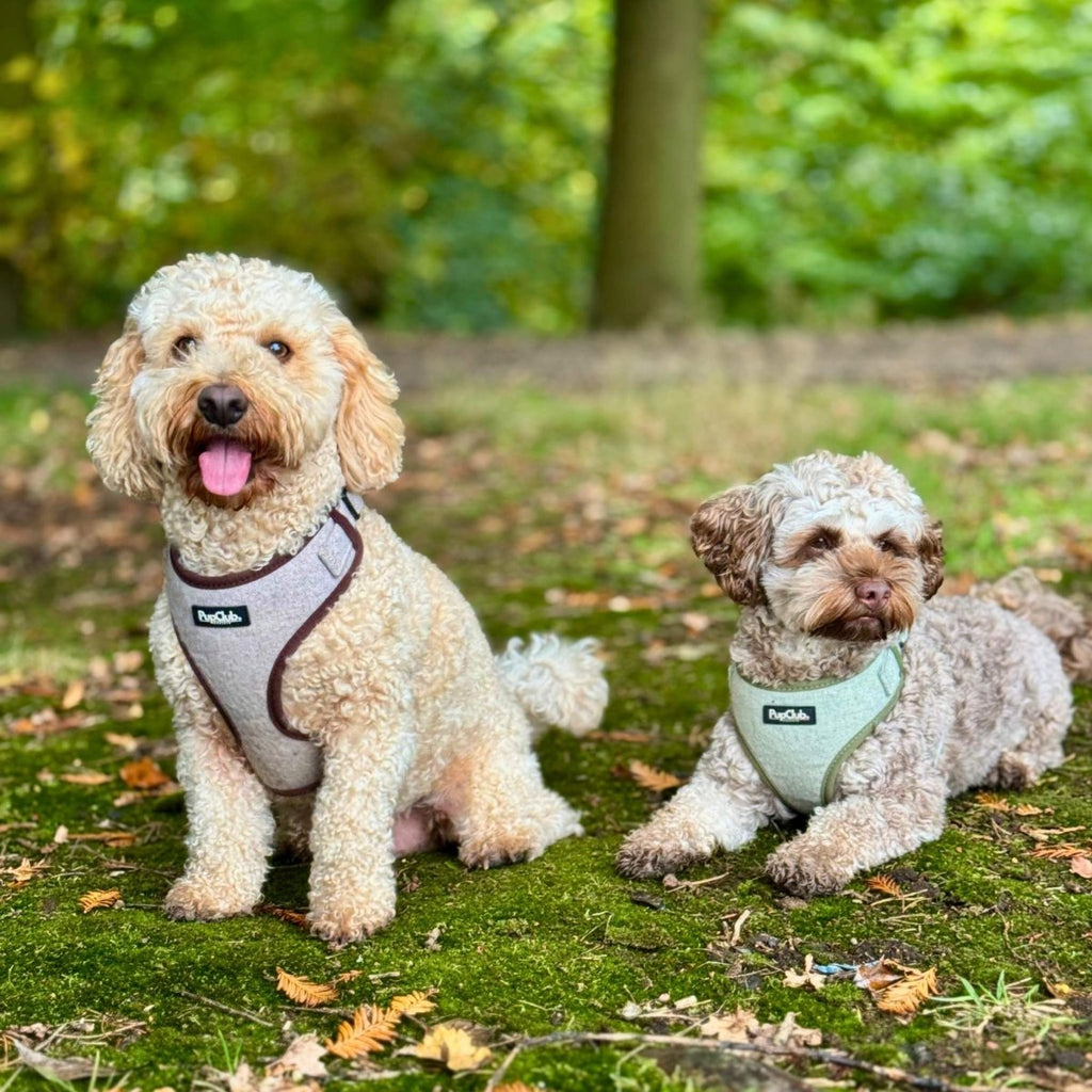 Tweed Adjustable Harness in Sage