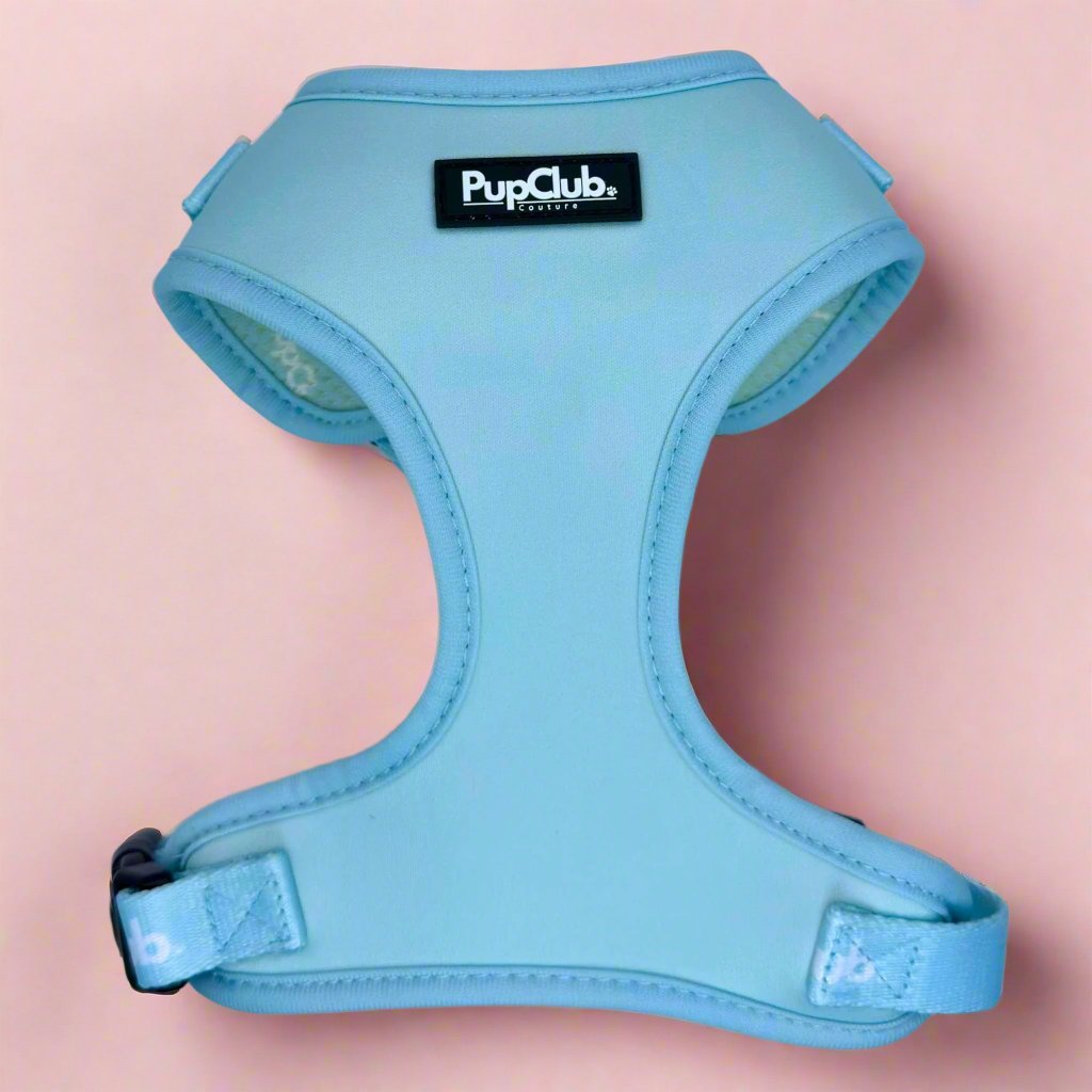 Pastel Blue Adjustable Dog Harness