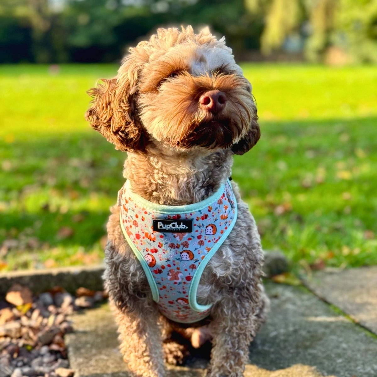 Woodland Friends Adjustable Dog Harness