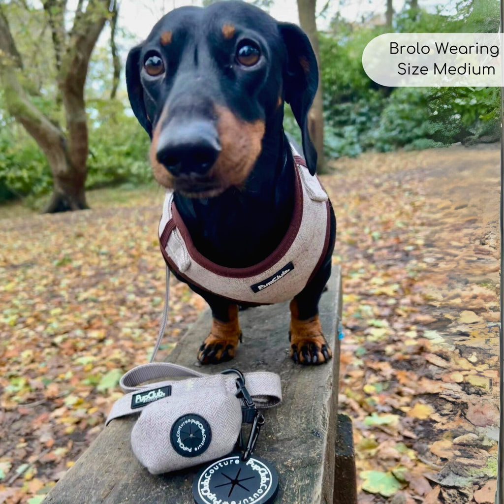 Tweed Brown Dog Lead