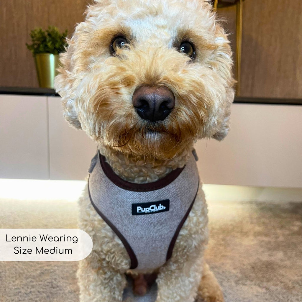 Tweed Adjustable Harness in Brown