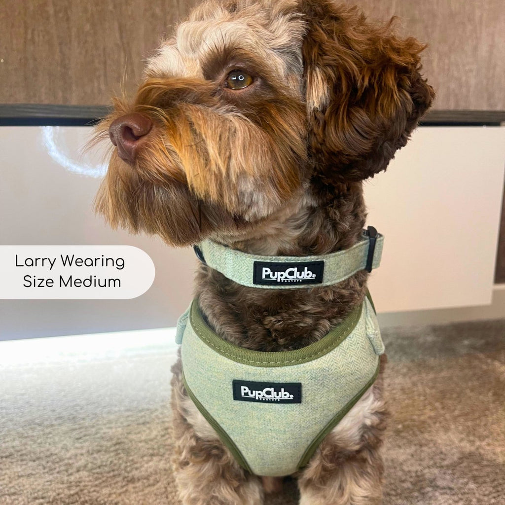 Tweed Adjustable Harness in Sage