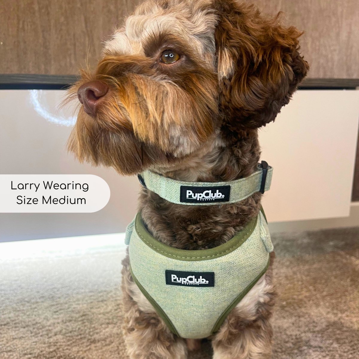 Tweed Adjustable Harness in Sage