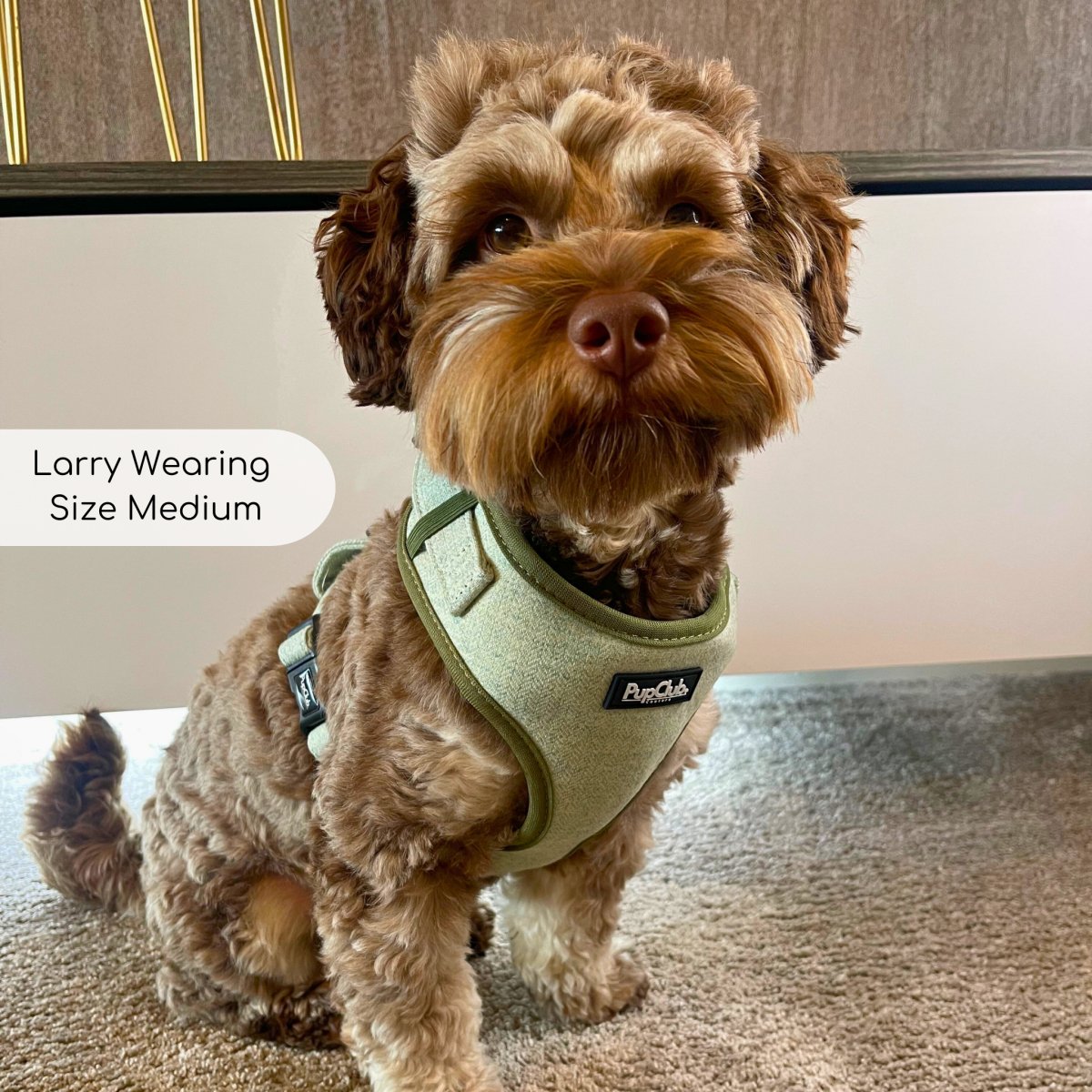 Tweed Adjustable Harness in Sage