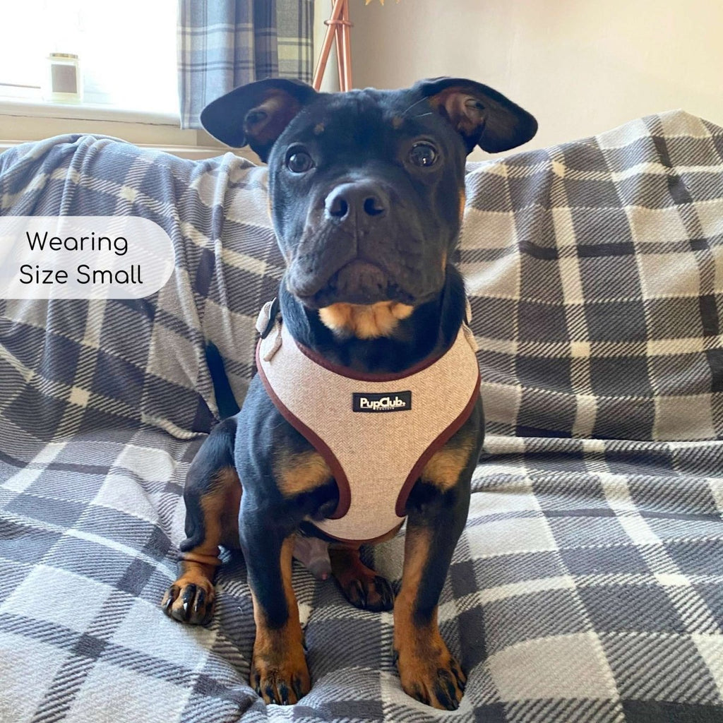 Tweed Adjustable Harness in Brown