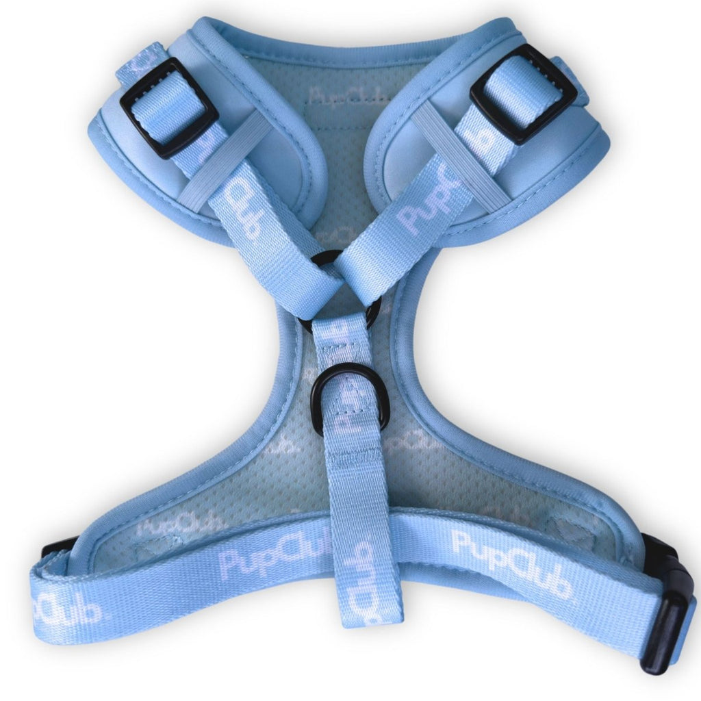 Pastel Blue Adjustable Dog Harness