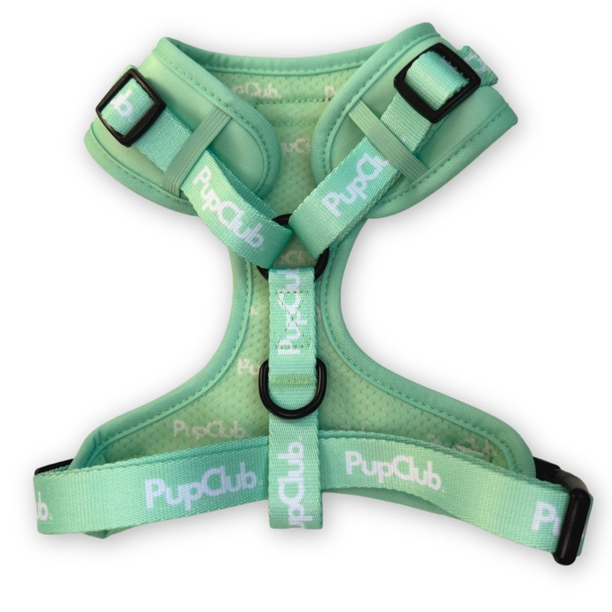 Adjustable Harness in Pastel Mint Green